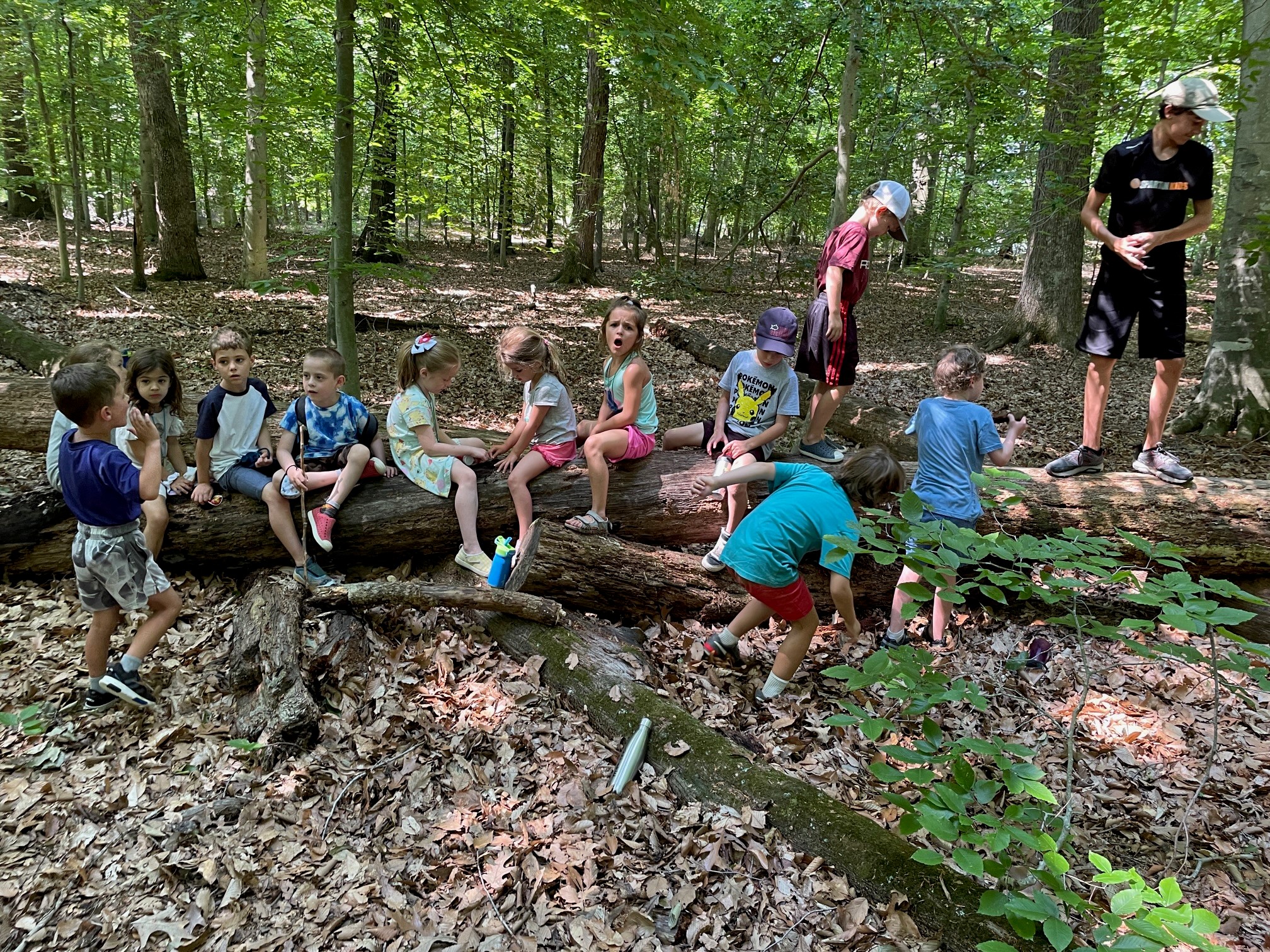 Programs - Pickering Creek Audubon Center